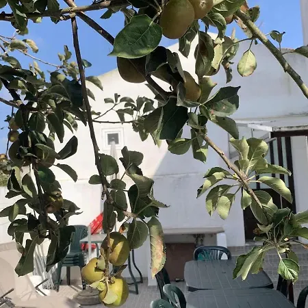Casa Kika Pereira, Ganzes Haus Bis 11 Personen Dom wakacyjny