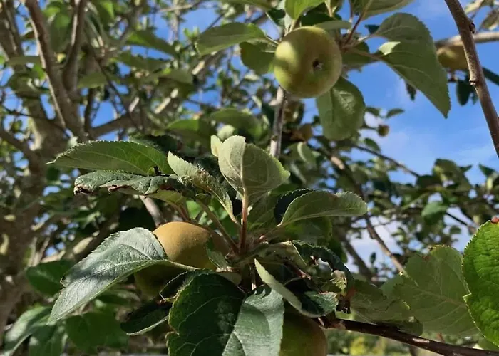 Casa Kika Pereira, Ganzes Haus Bis 11 Personen * Lourinhã